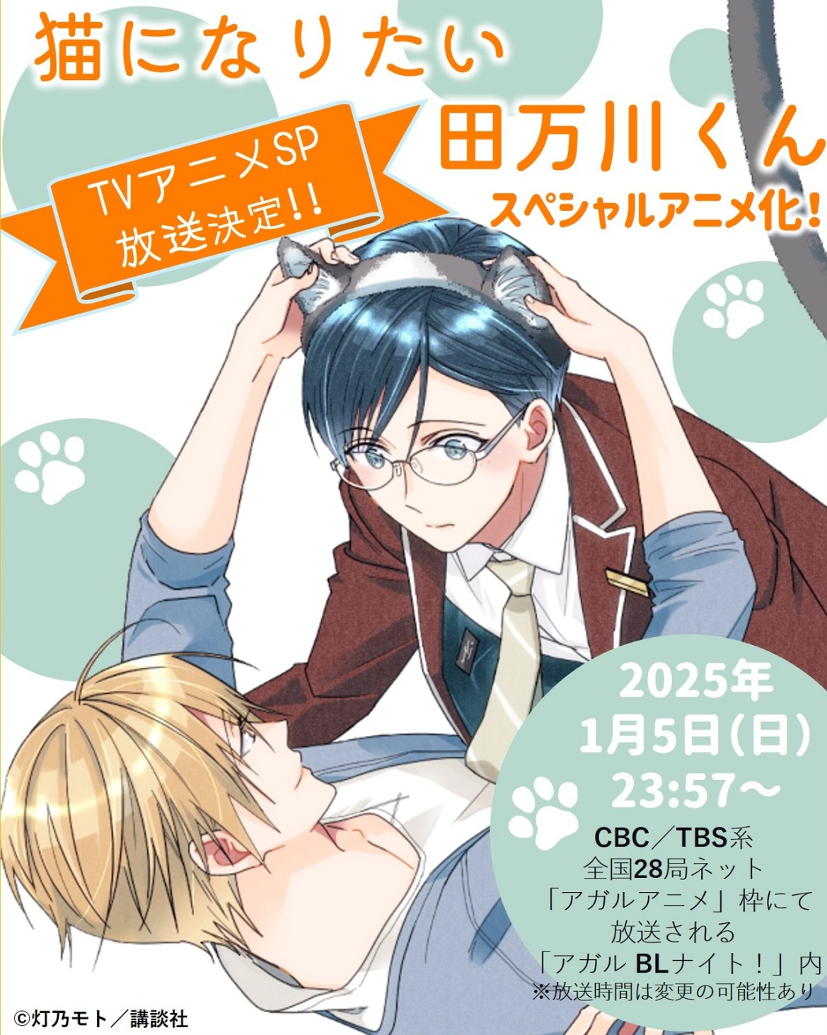 A34253 3554834958.1735905918